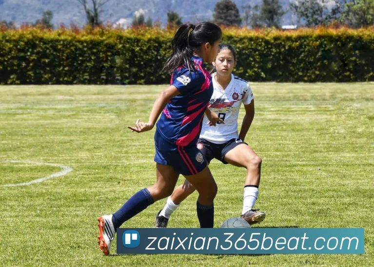 在线365beatAPP 封面图